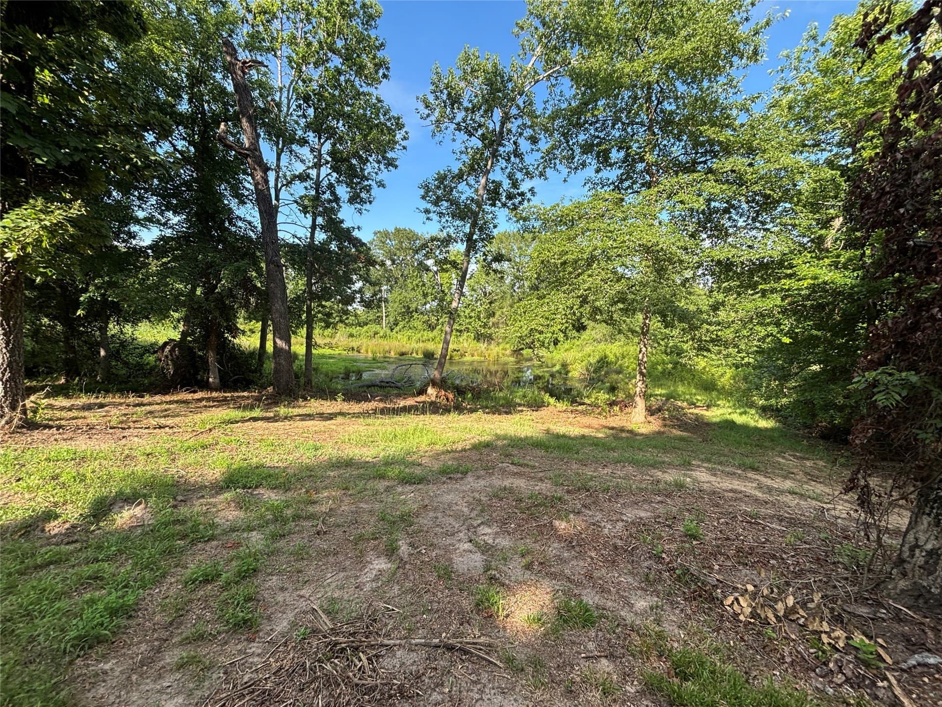 13 acres in Anderson County - photo 26