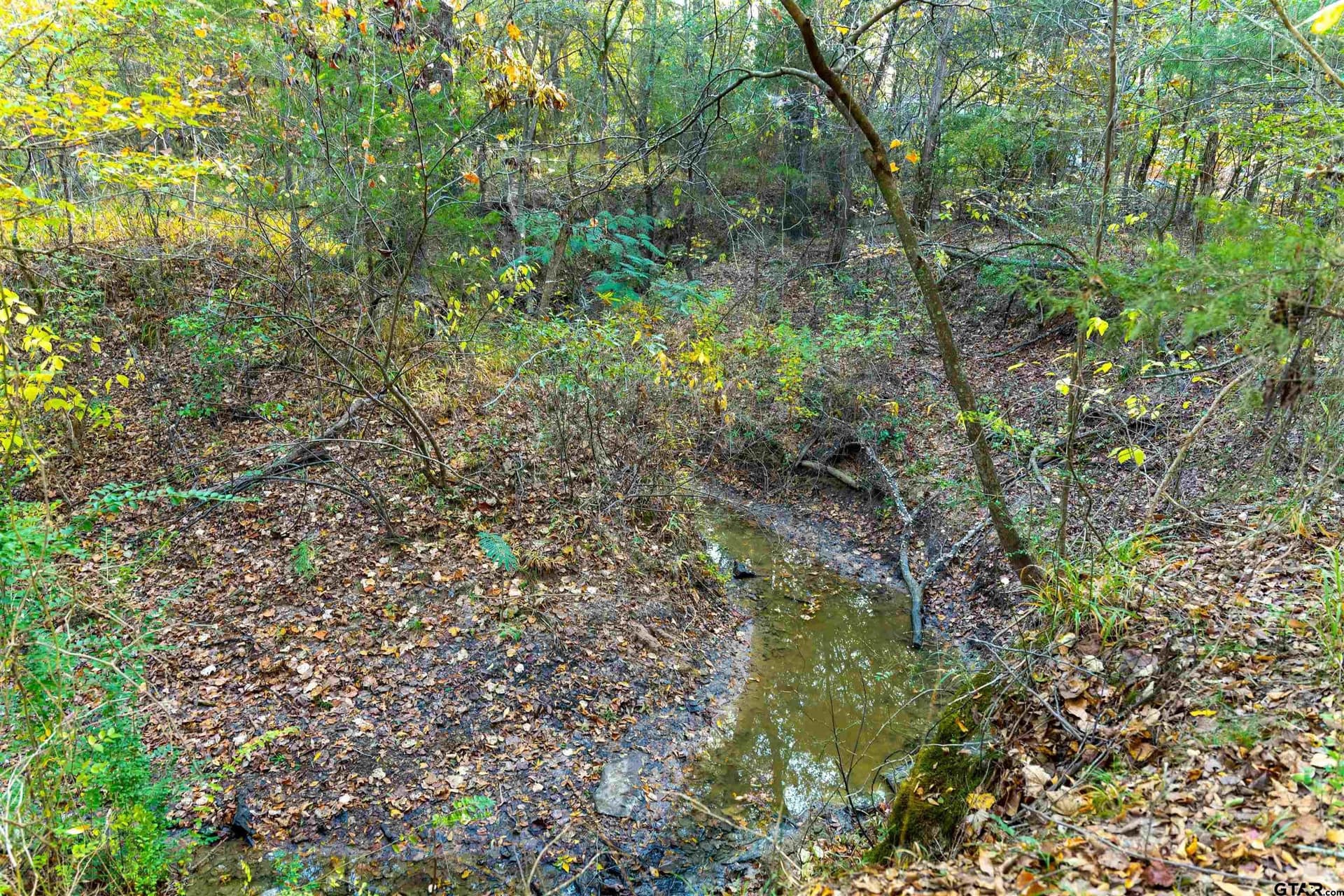 20.2 acres in Van Zandt County - photo 26