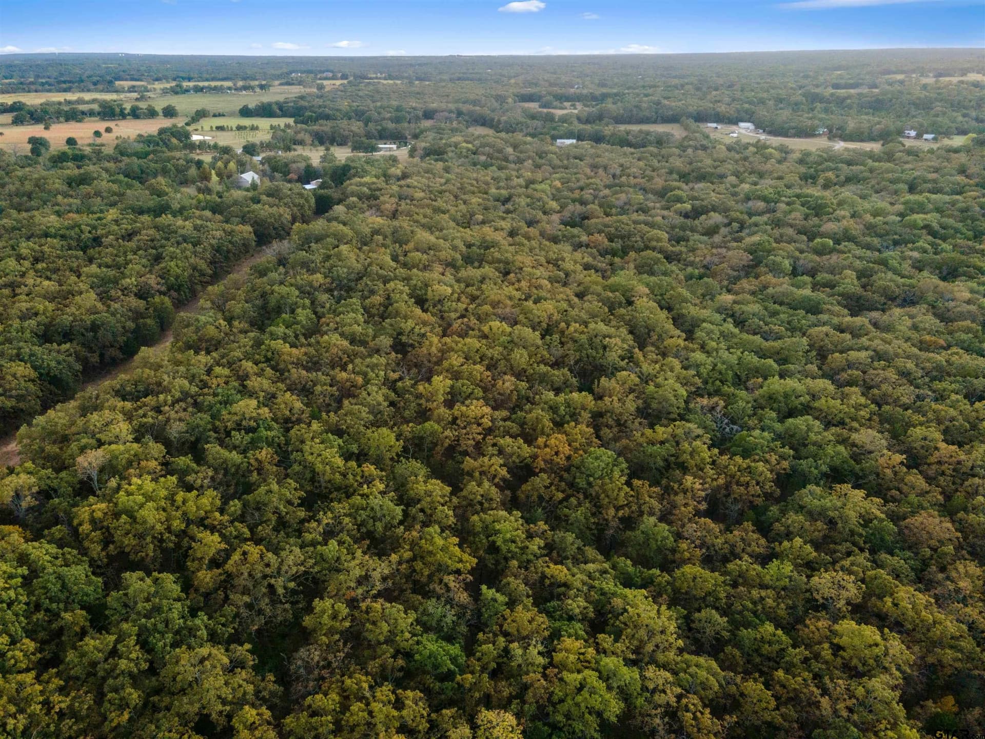 20.2 acres in Van Zandt County - photo 14