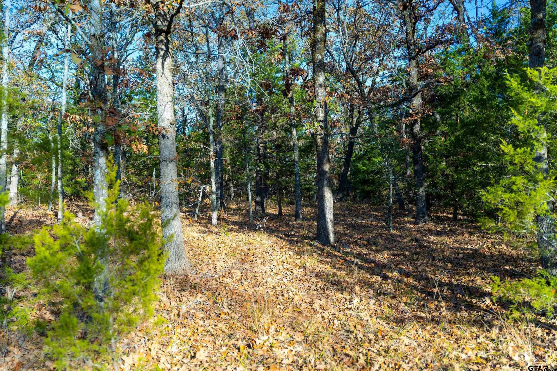 20.2 acres in Van Zandt County - photo 35