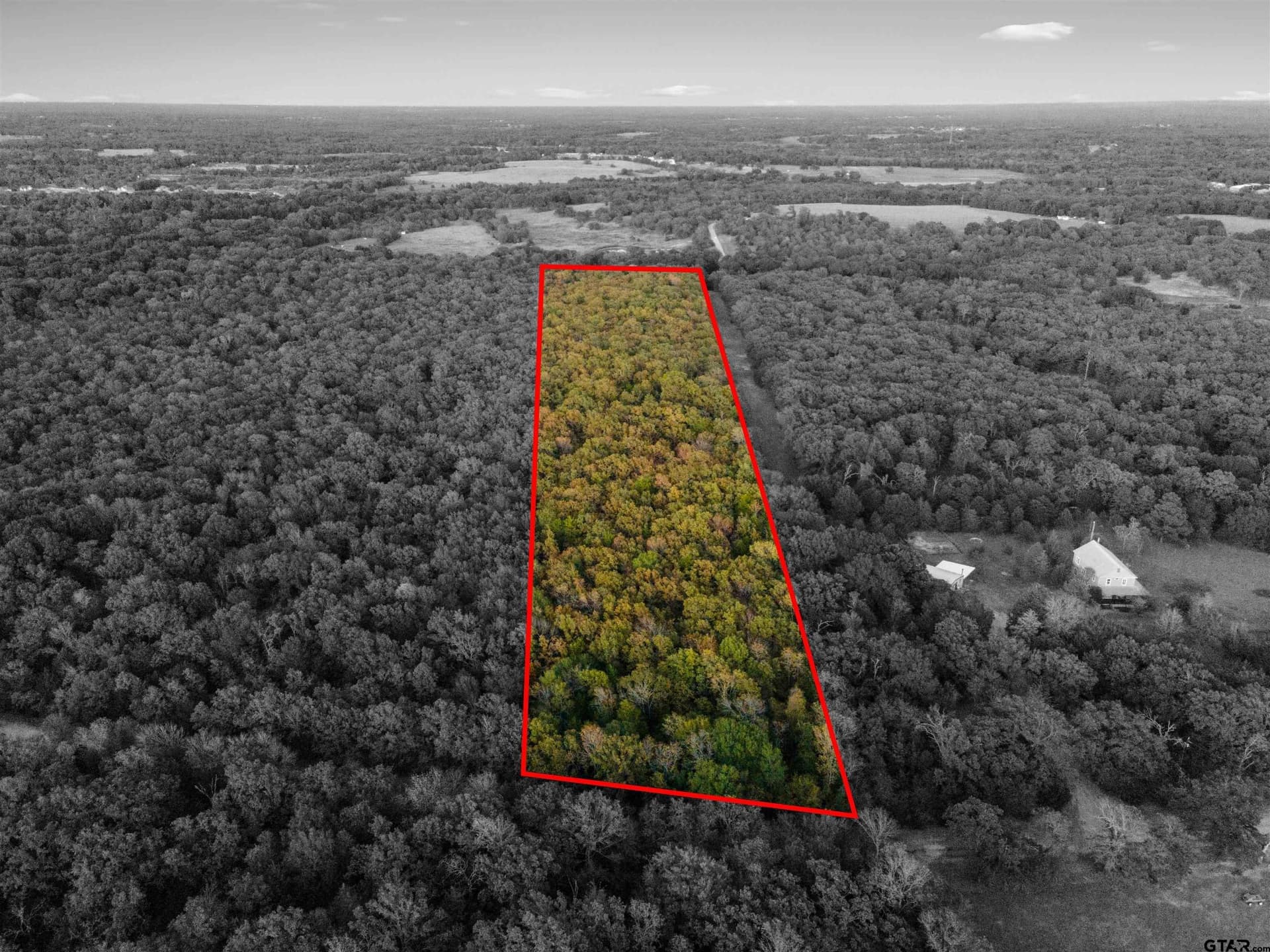 20.2 acres in Van Zandt County gallery image 4