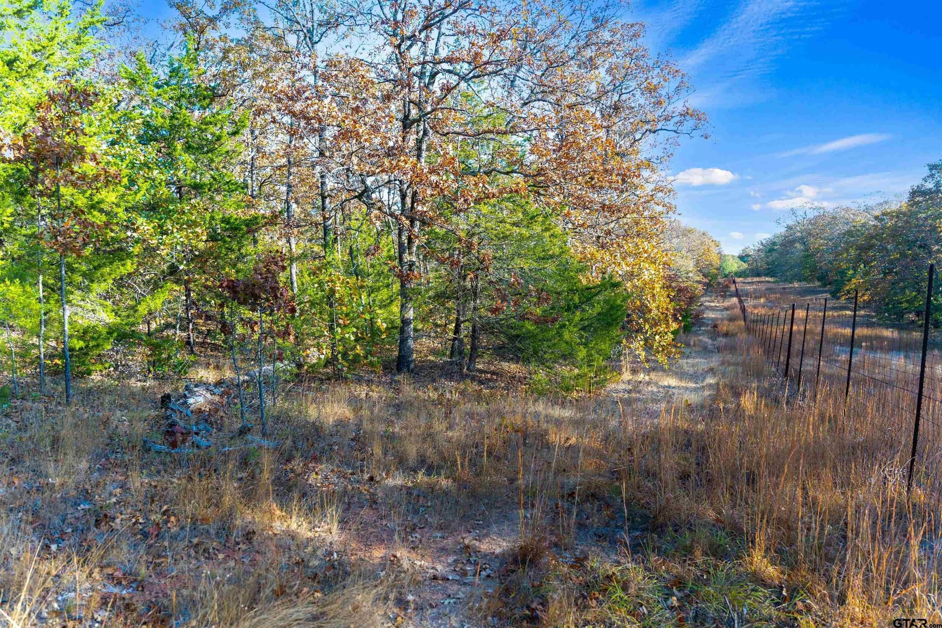 20.2 acres in Van Zandt County - photo 29