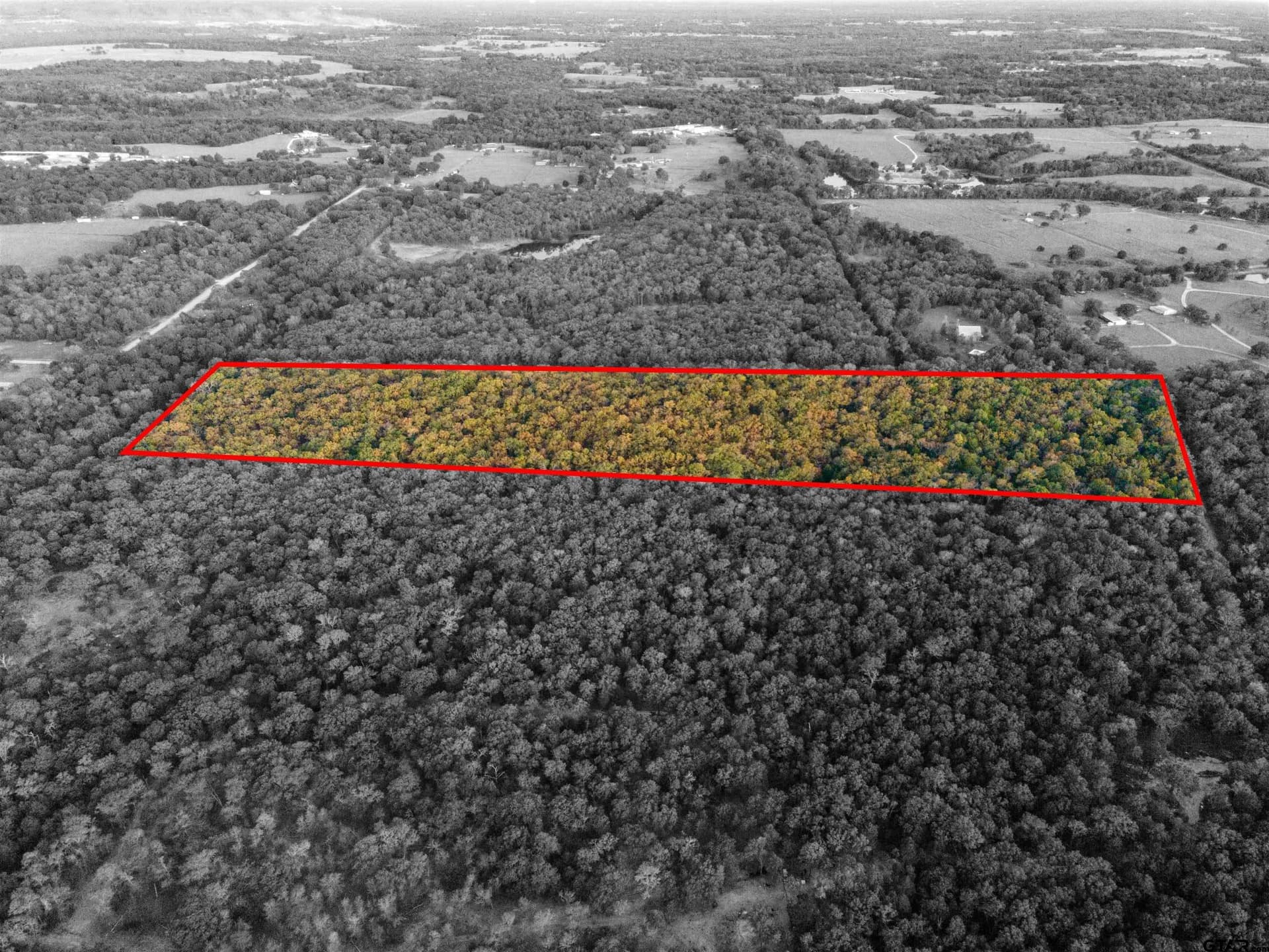 20.2 acres in Van Zandt County gallery image 2