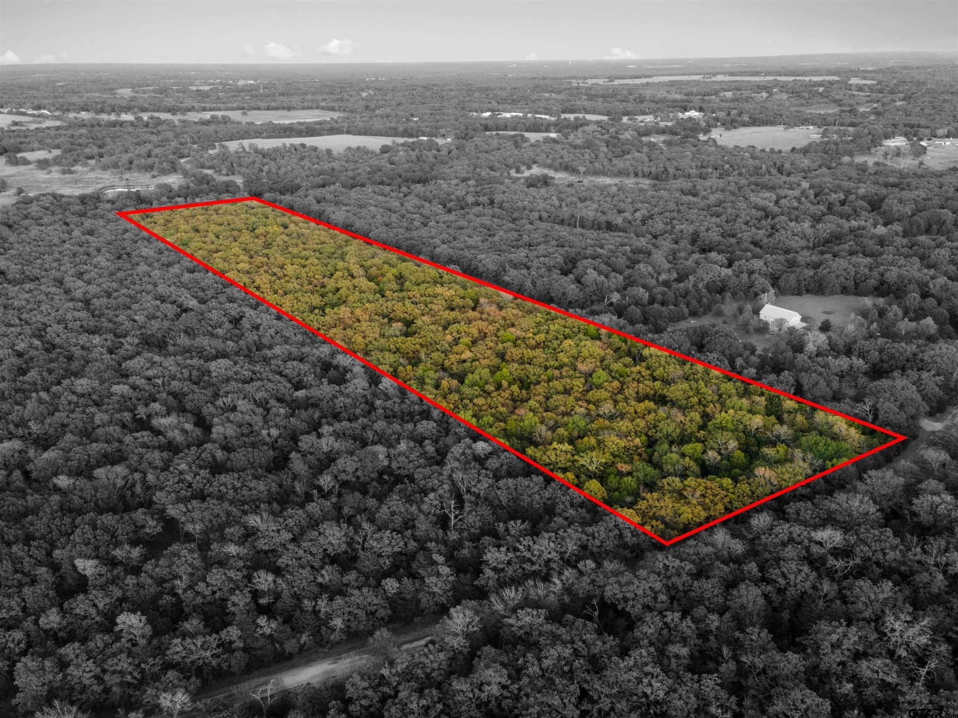 20.2 acres in Van Zandt County featured view