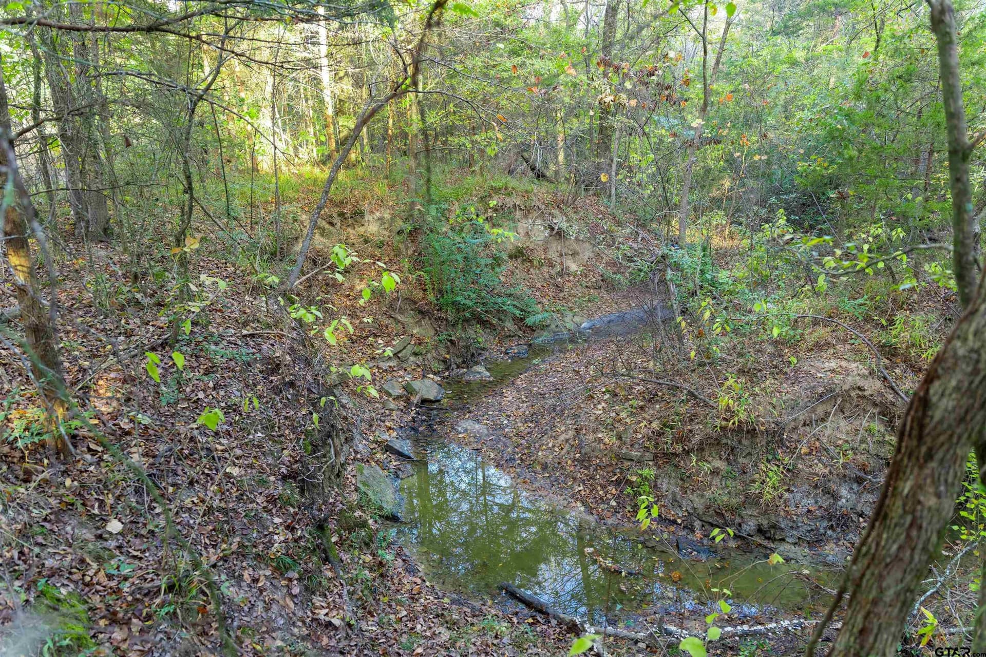 20.2 acres in Van Zandt County - photo 25