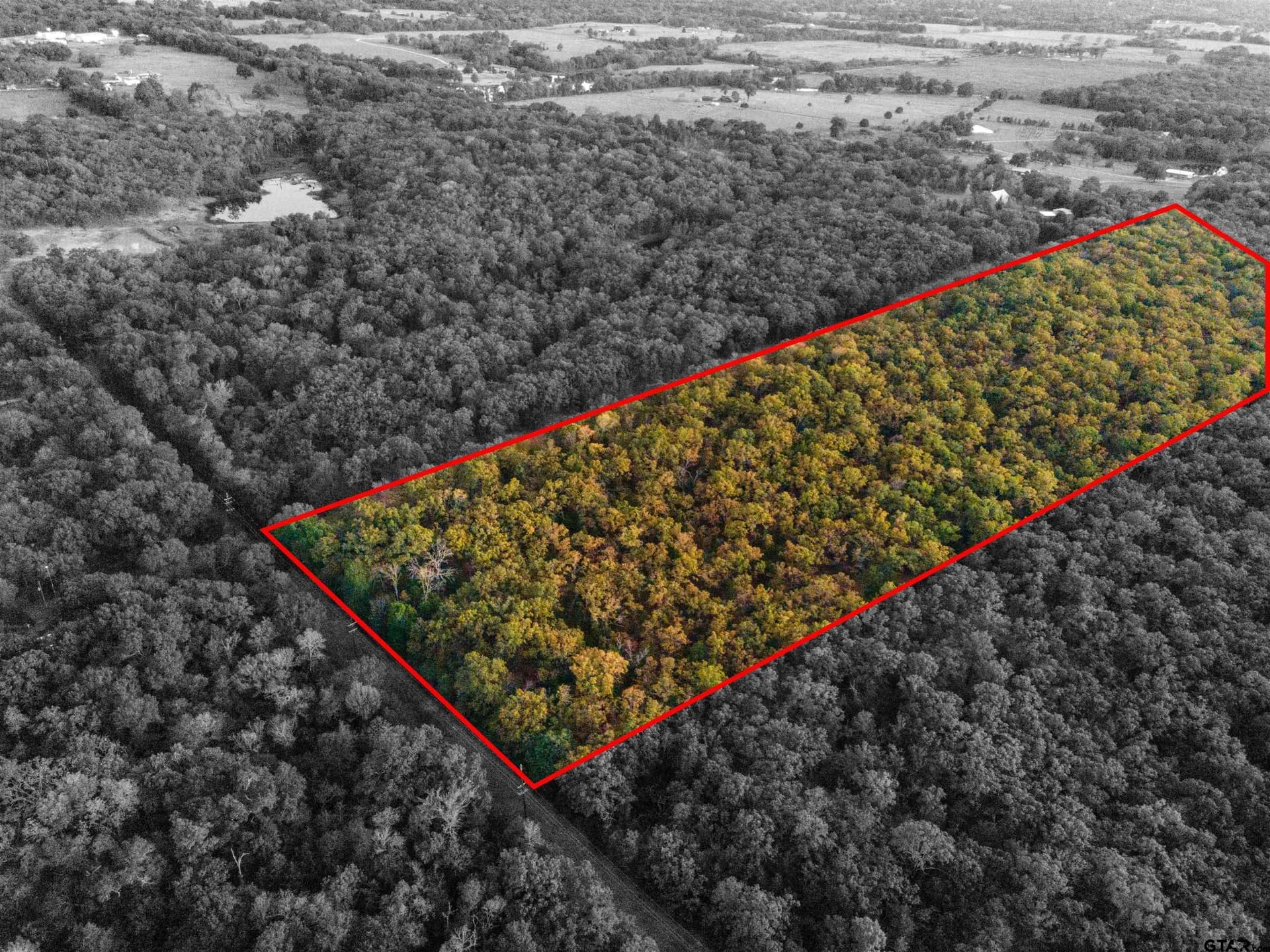 20.2 acres in Van Zandt County gallery image 3