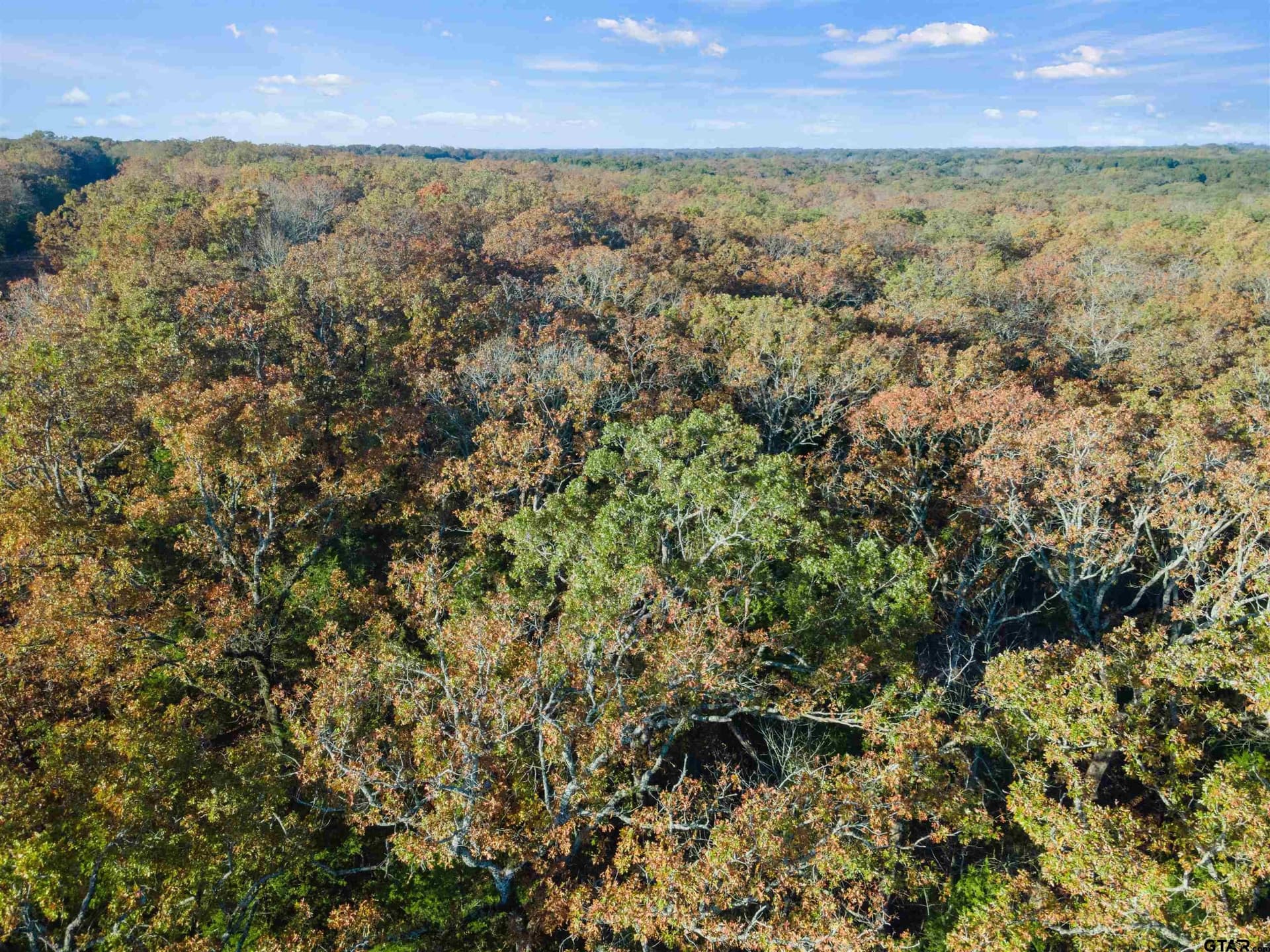 20.2 acres in Van Zandt County - photo 18