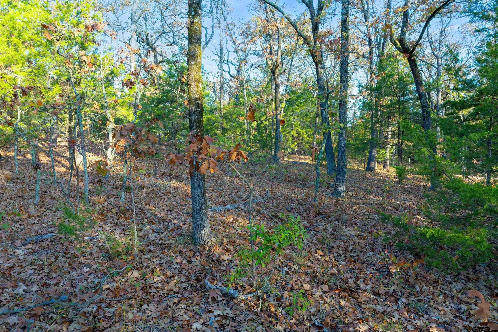 20.2 acres in Van Zandt County - photo 24