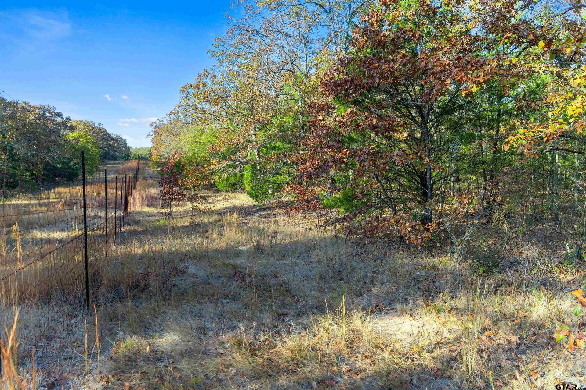20.2 acres in Van Zandt County - photo 27