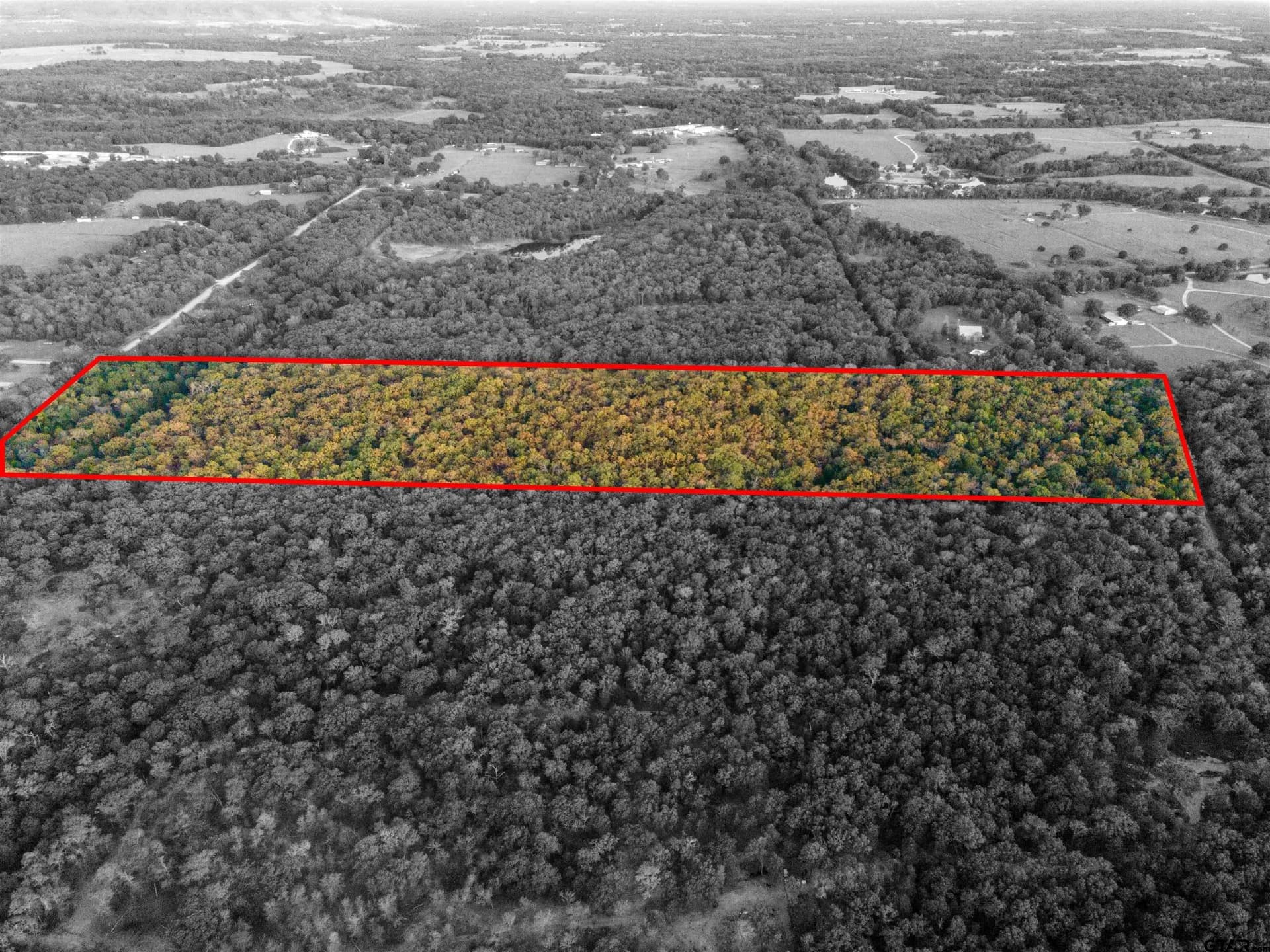 20.2 acres in Van Zandt County - photo 30
