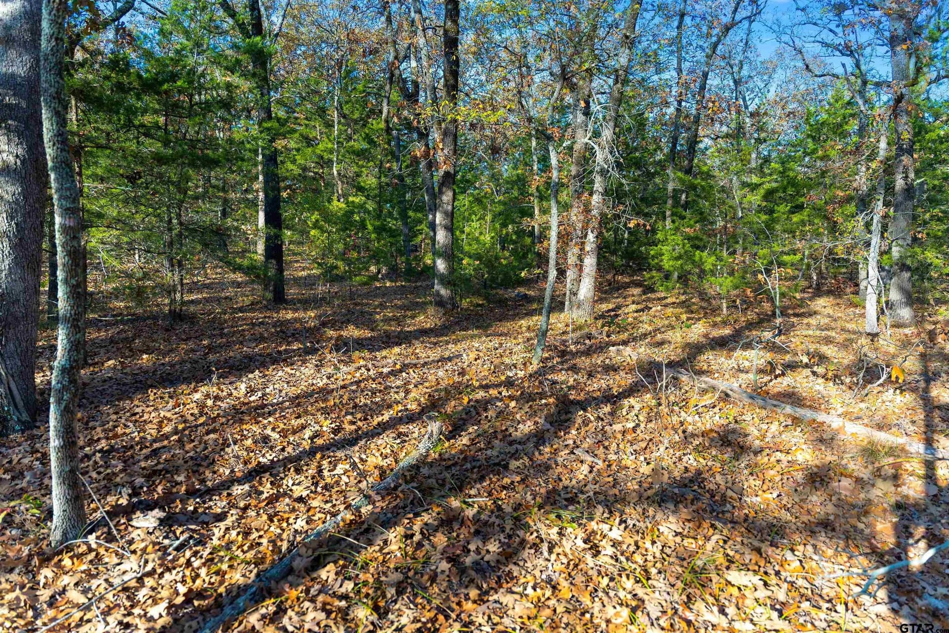 20.2 acres in Van Zandt County - photo 36