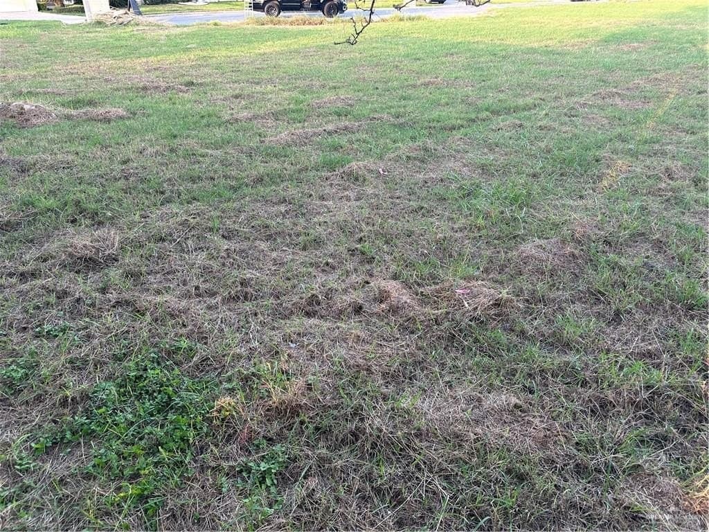 0.18 acres in Hidalgo County gallery image 3