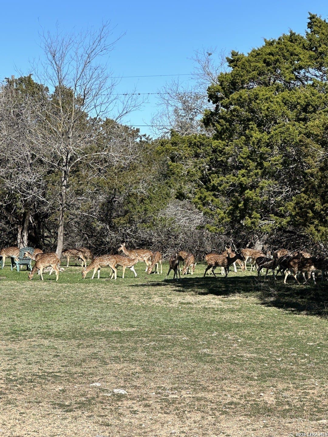 0.24 acres in Bandera County gallery image 2