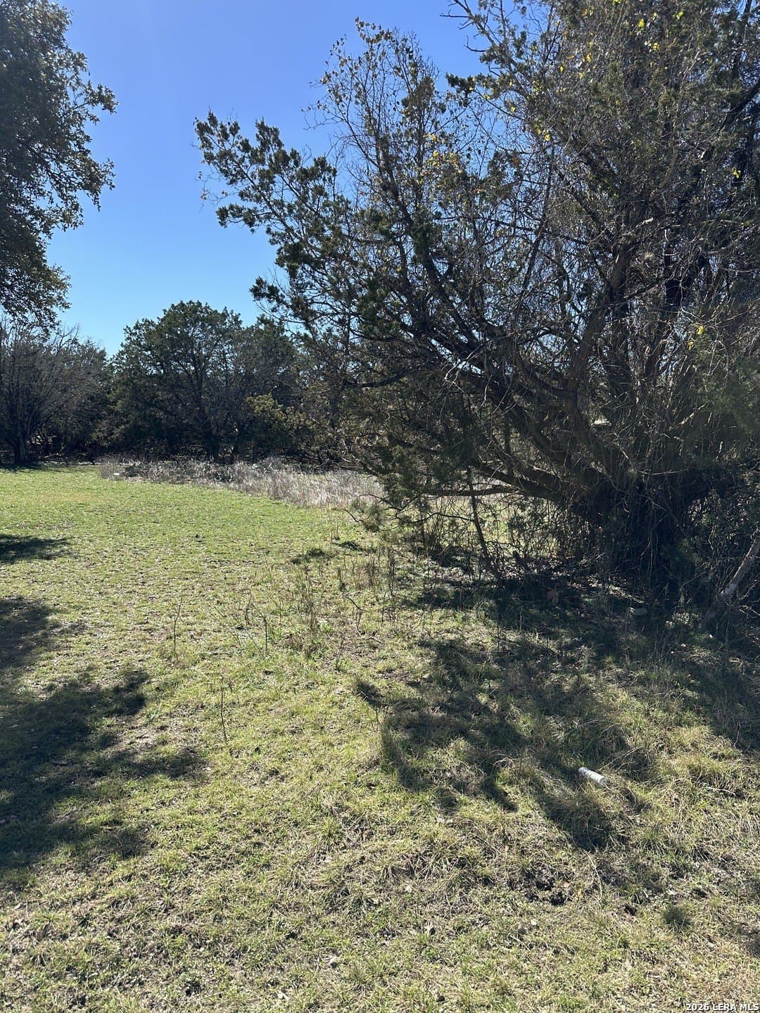 0.24 acres in Bandera County gallery image 4