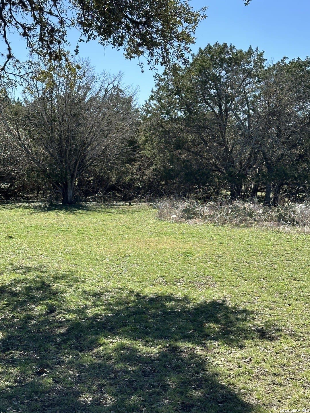 0.24 acres in Bandera County - photo 6