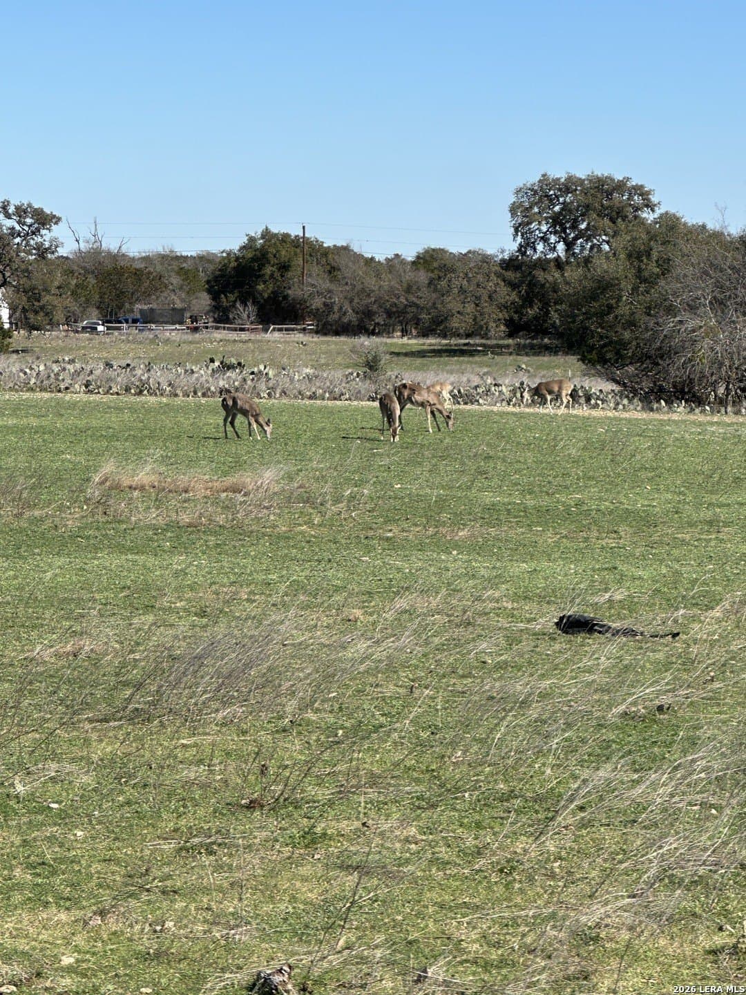 0.24 acres in Bandera County - photo 7