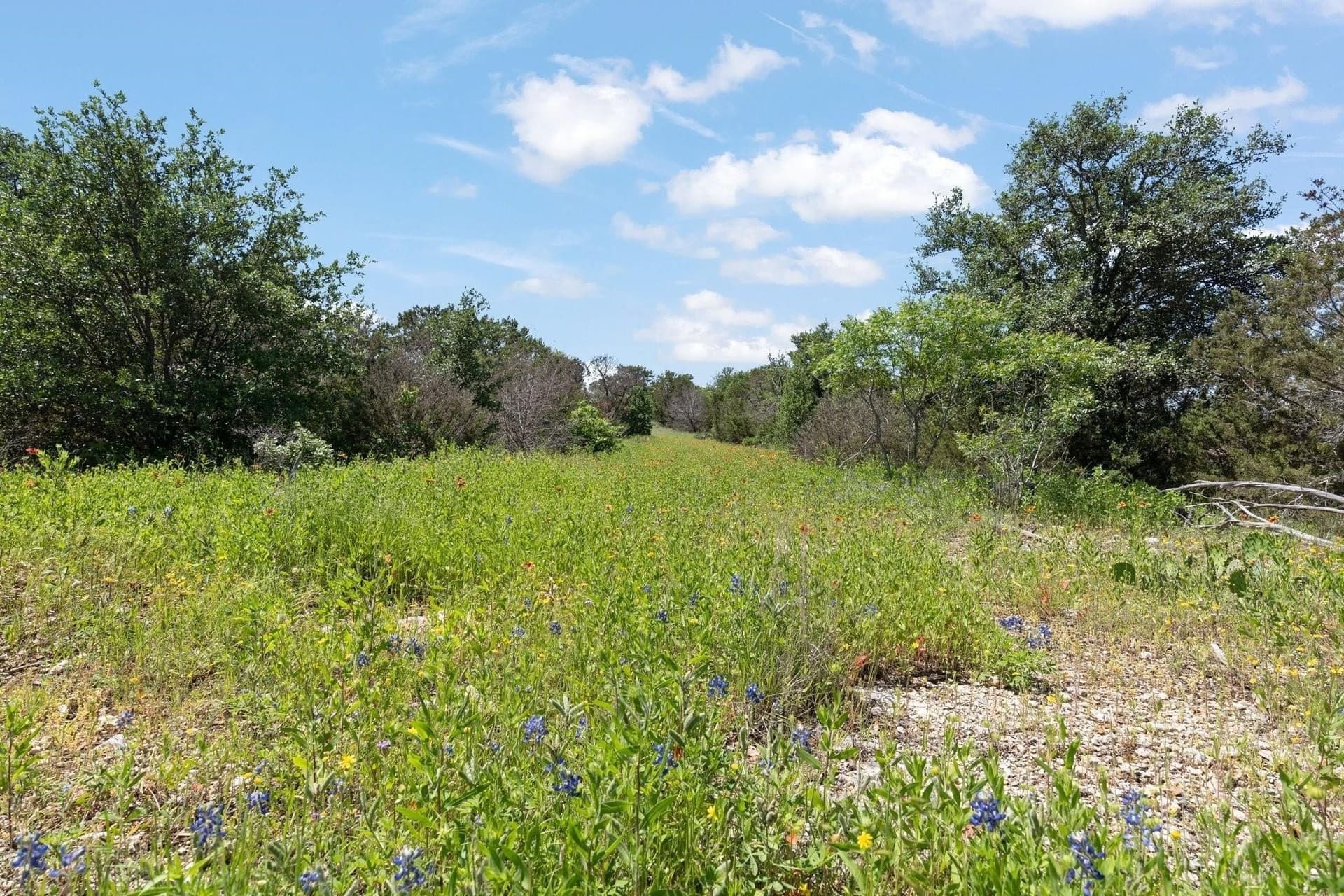 3.67 acres in Johnson County - photo 6