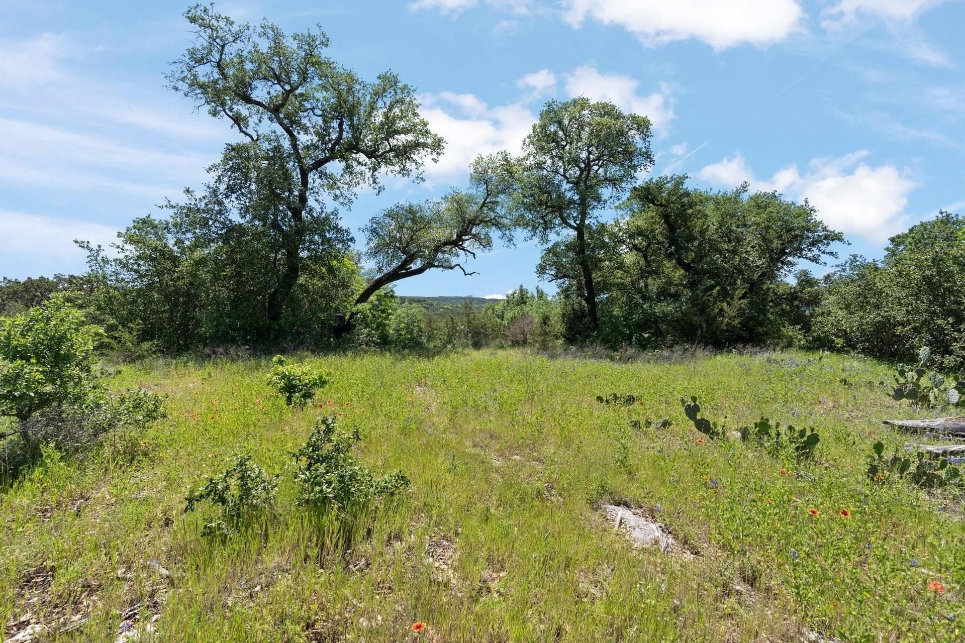 3.67 acres in Johnson County - photo 4