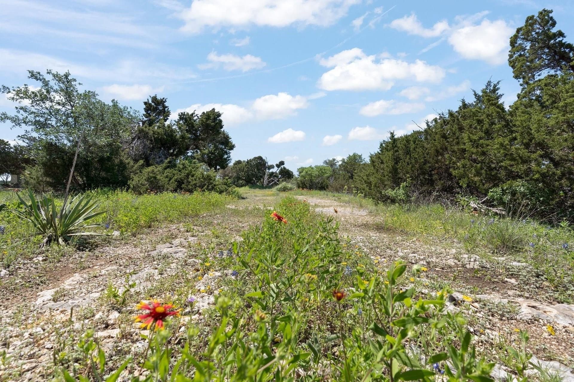 3.67 acres in Johnson County - photo 2