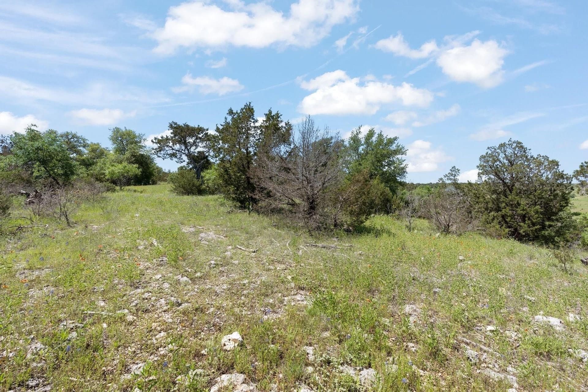 3.67 acres in Johnson County - photo 7