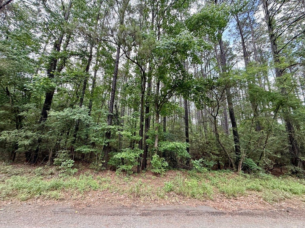 5 acres in Texas County - photo 10