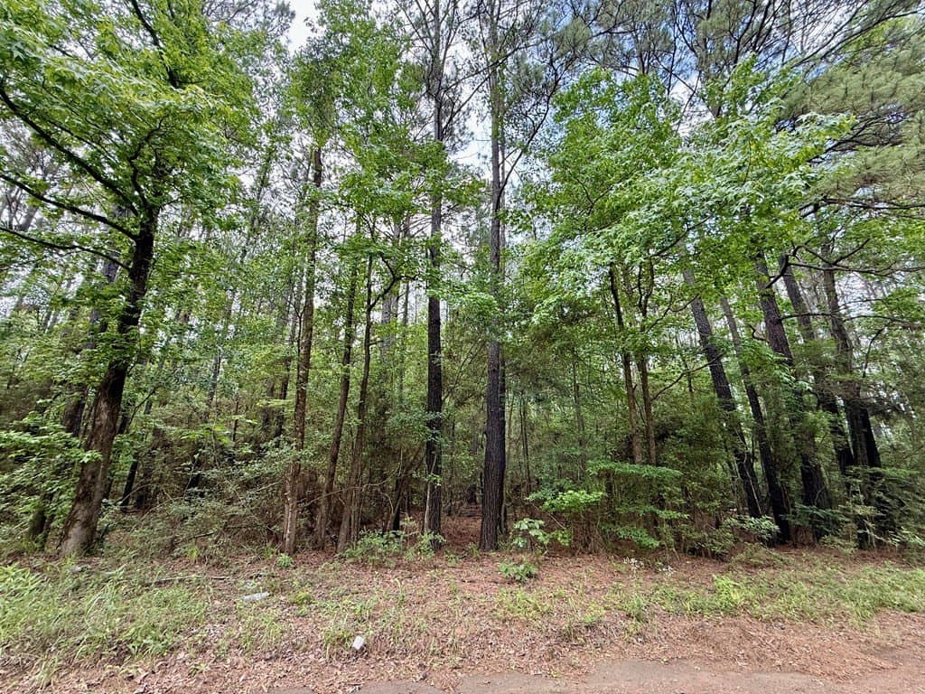 5 acres in Texas County - photo 14