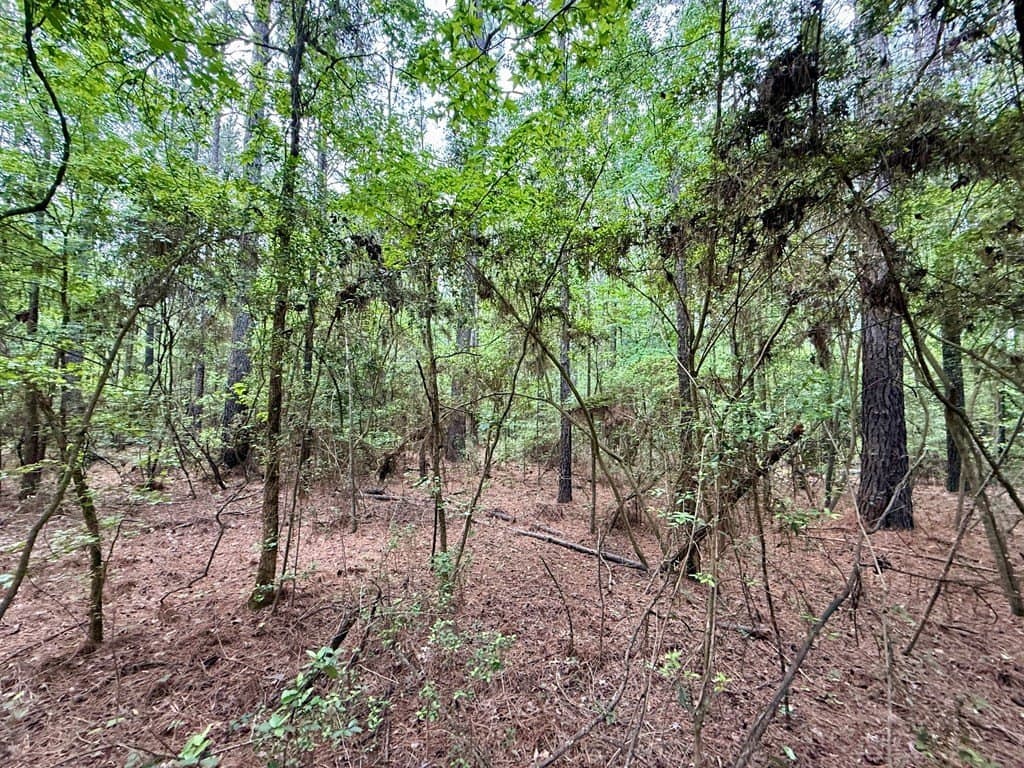 5 acres in Texas County - photo 7