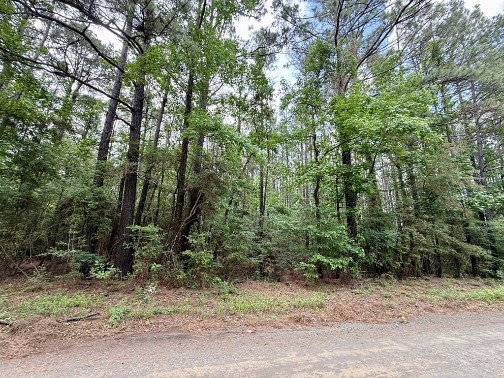 5 acres in Texas County - photo 11