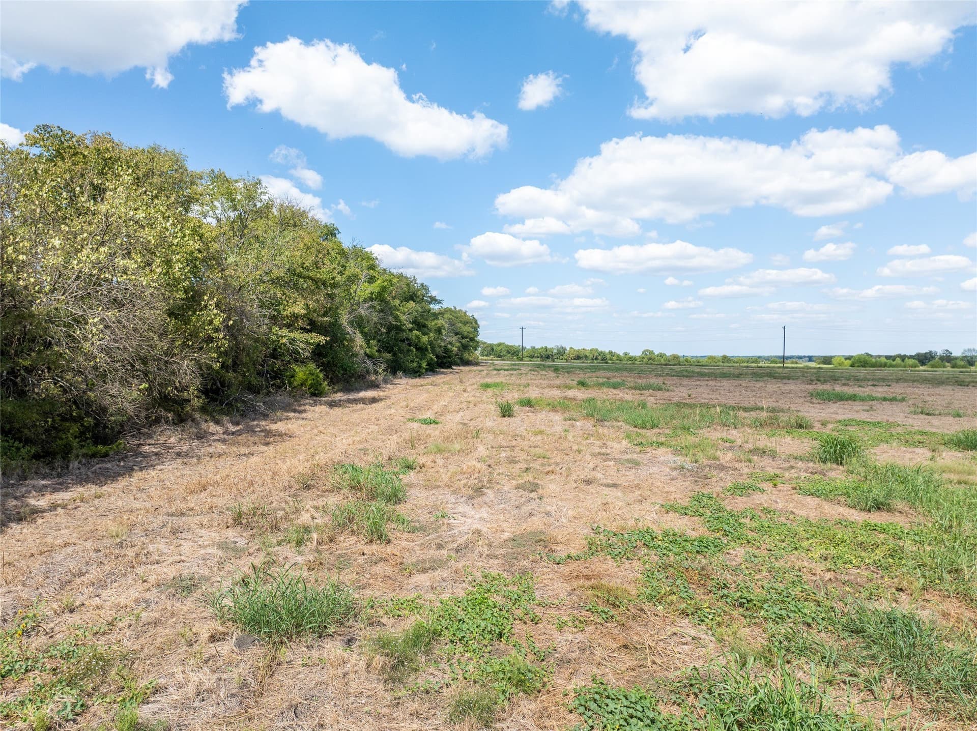 9.26 acres in Delta County - photo 6