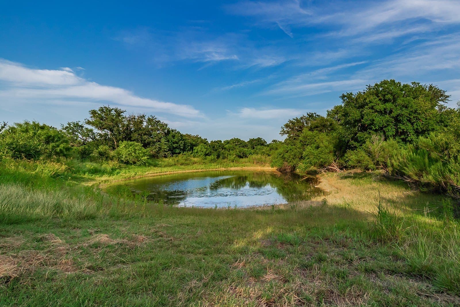 16.19 acres in McCulloch County - photo 3