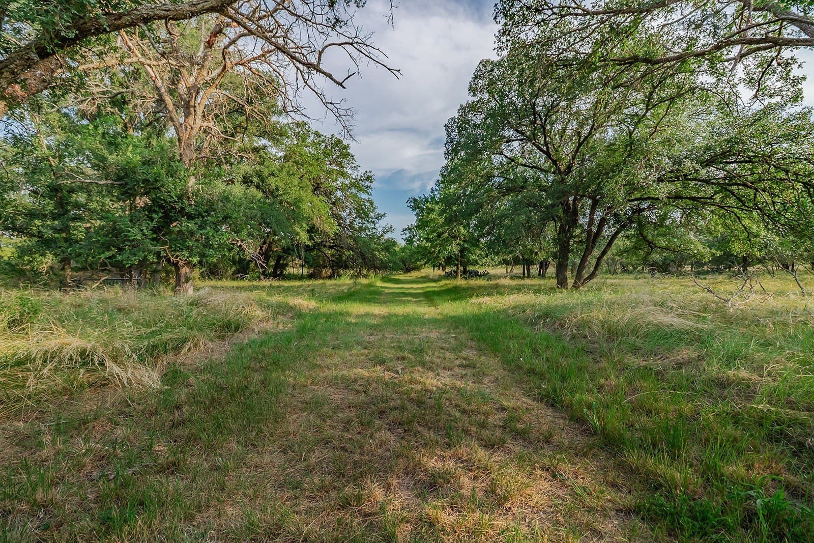 16.19 acres in McCulloch County - photo 28