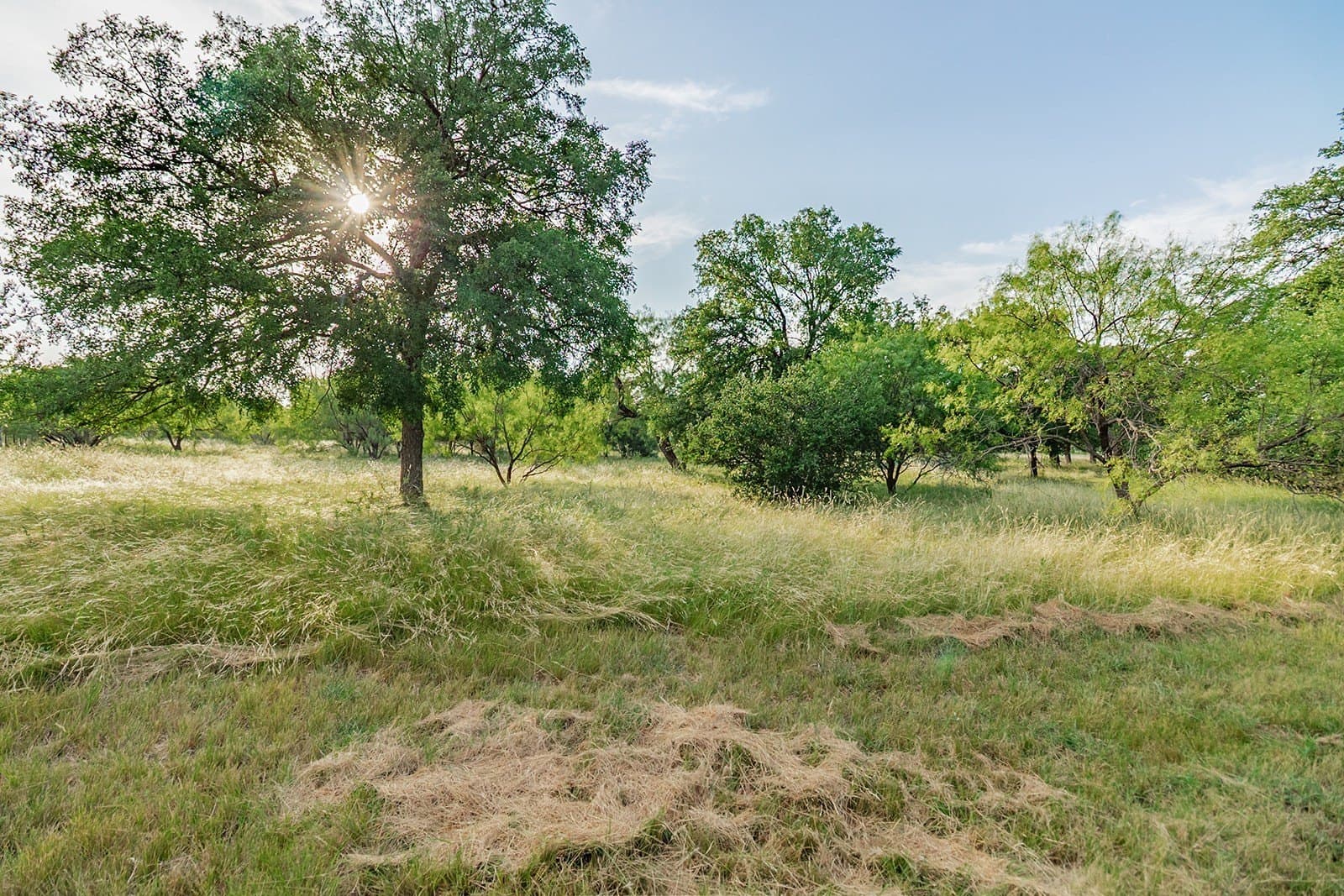 16.19 acres in McCulloch County - photo 34