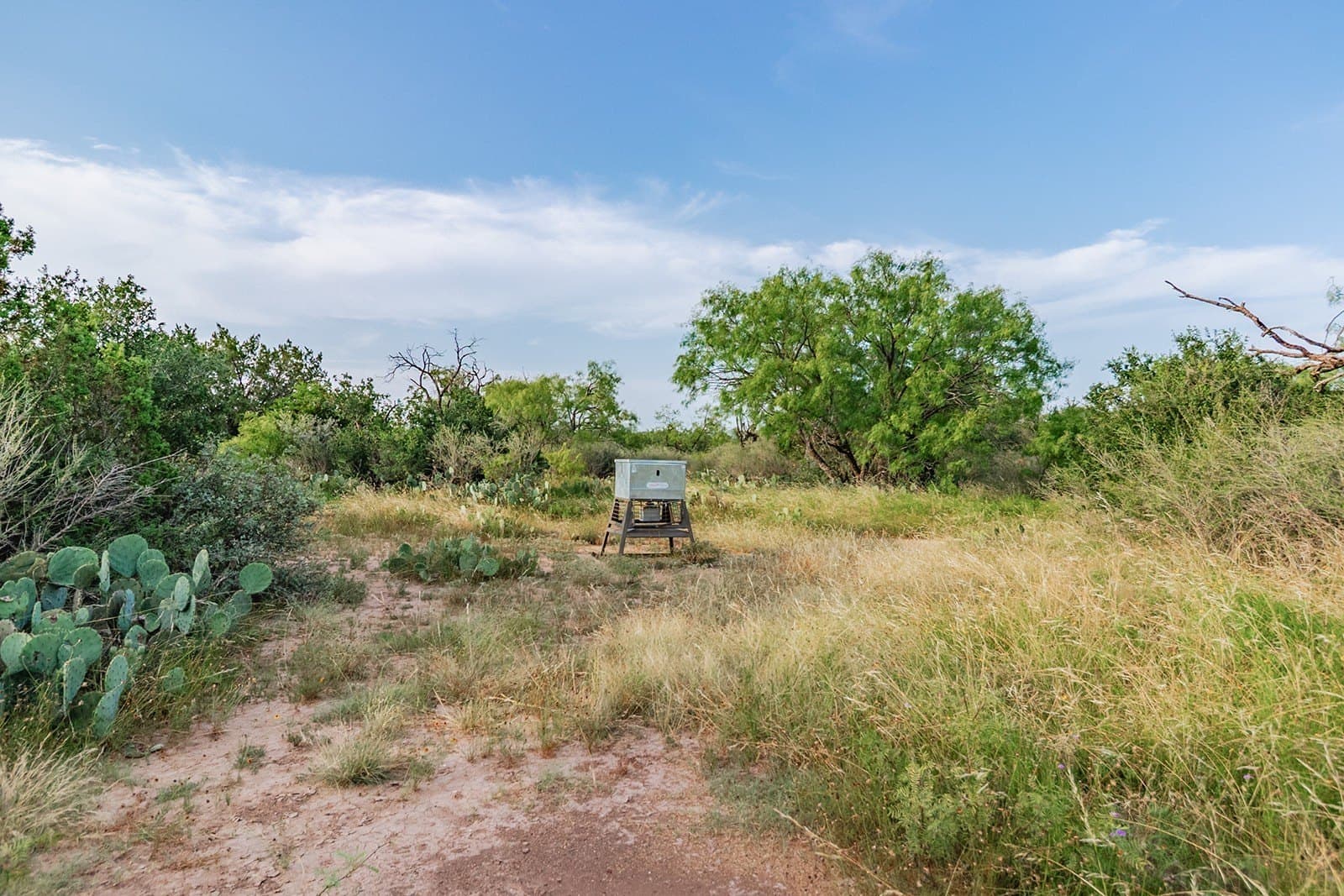16.19 acres in McCulloch County - photo 35