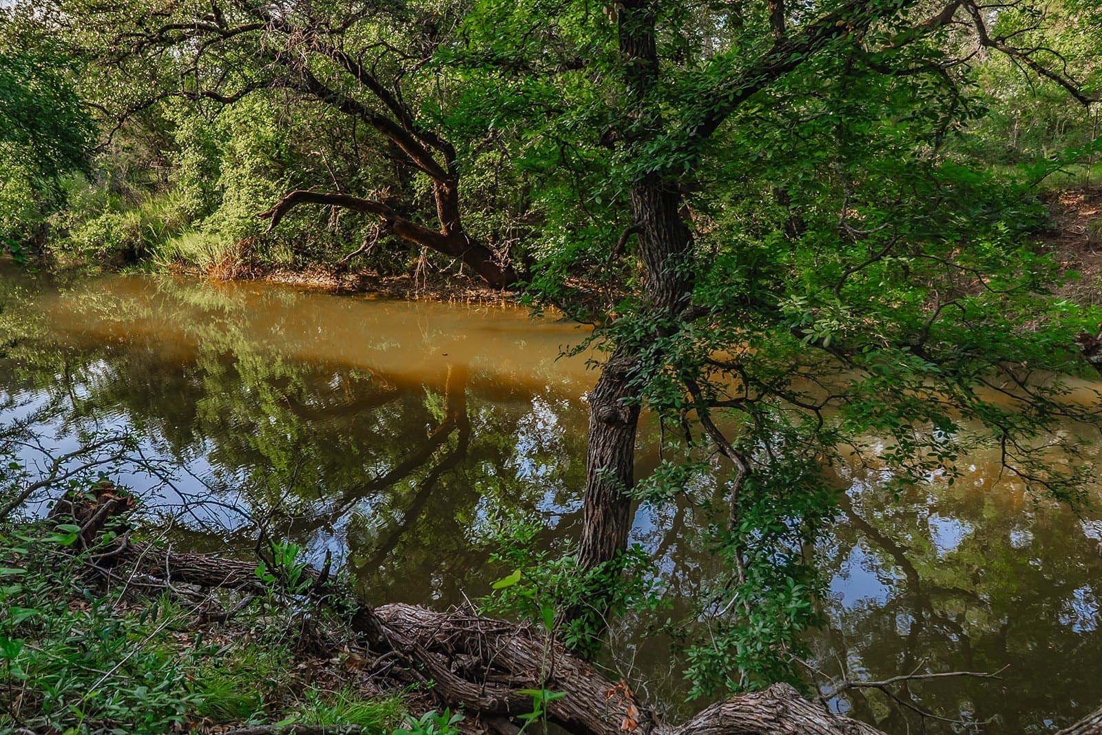 16.19 acres in McCulloch County - photo 40