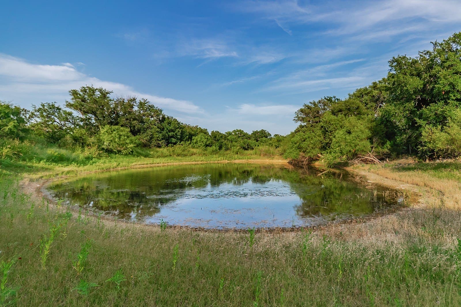 16.19 acres in McCulloch County - photo 29