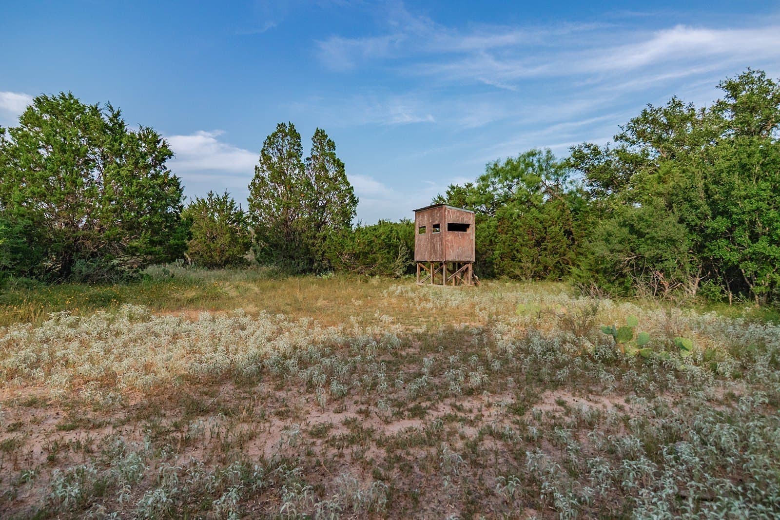 16.19 acres in McCulloch County - photo 37