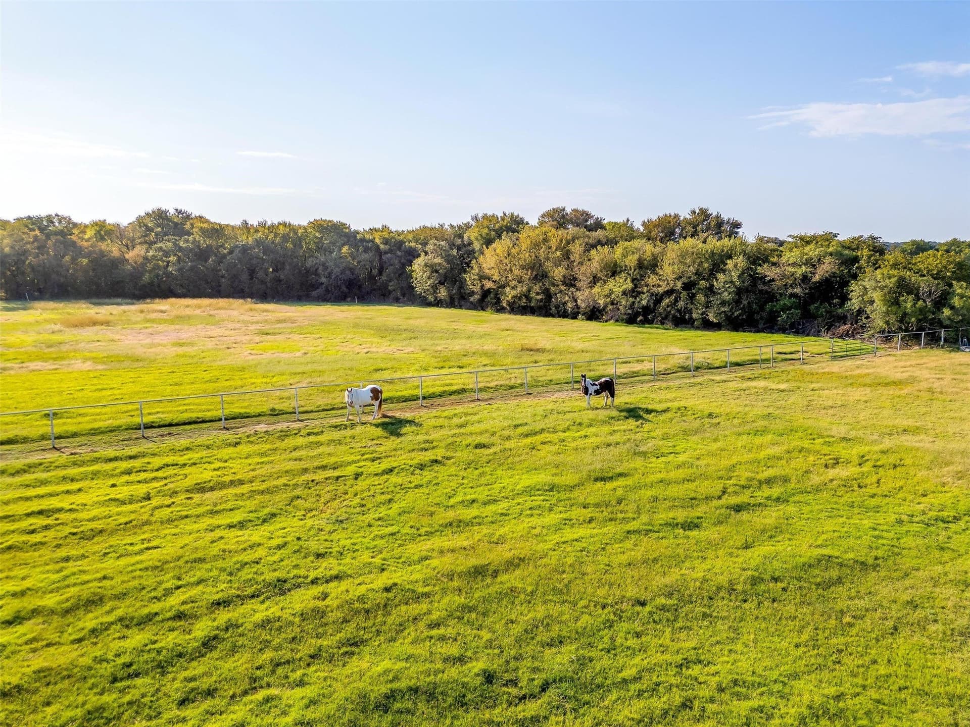 10 acres in Johnson County - photo 8