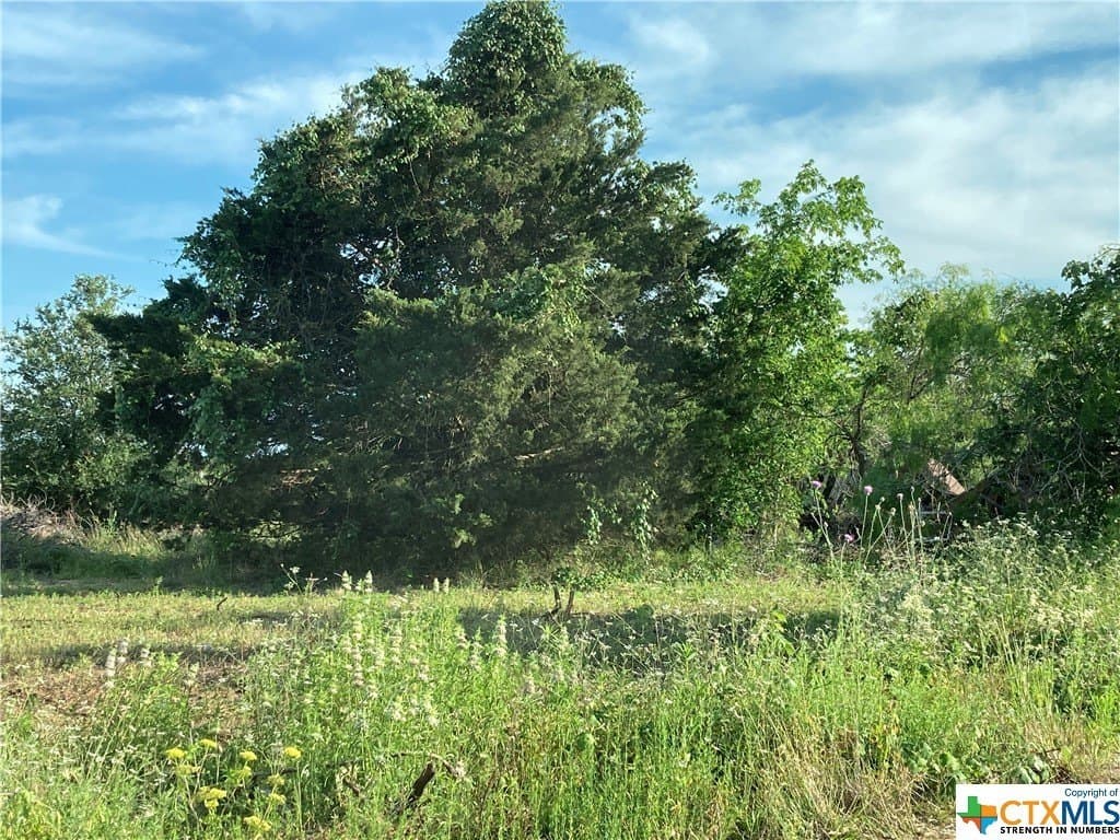 1.7 acres in Caldwell County gallery image 2