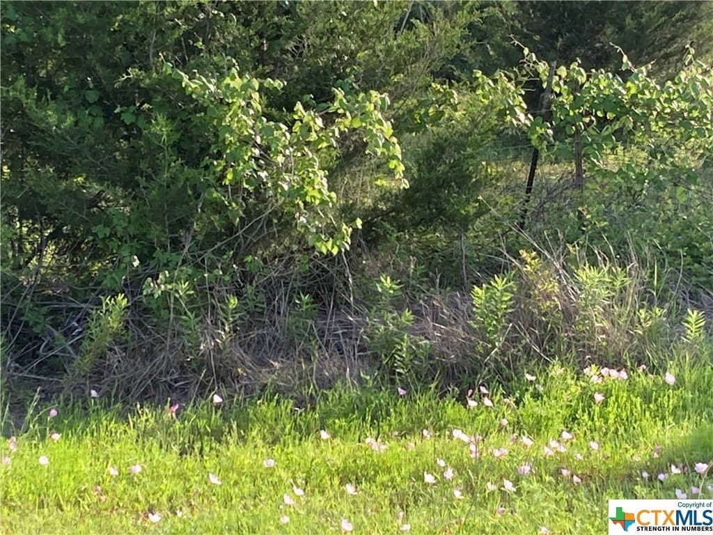 1.7 acres in Caldwell County - photo 7
