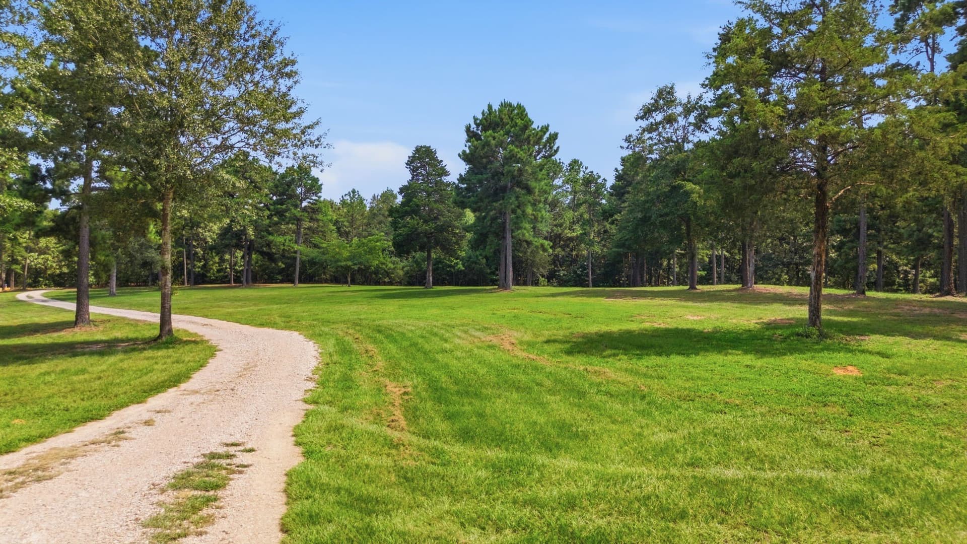 72.87 acres in Smith County - photo 31
