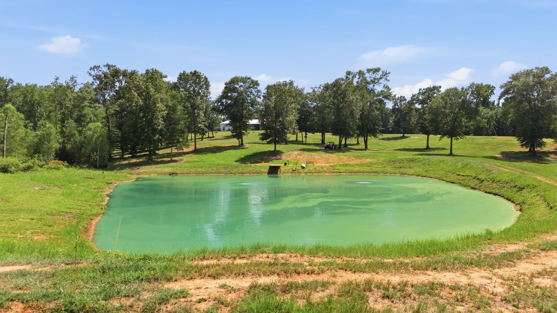 72.87 acres in Smith County - photo 28