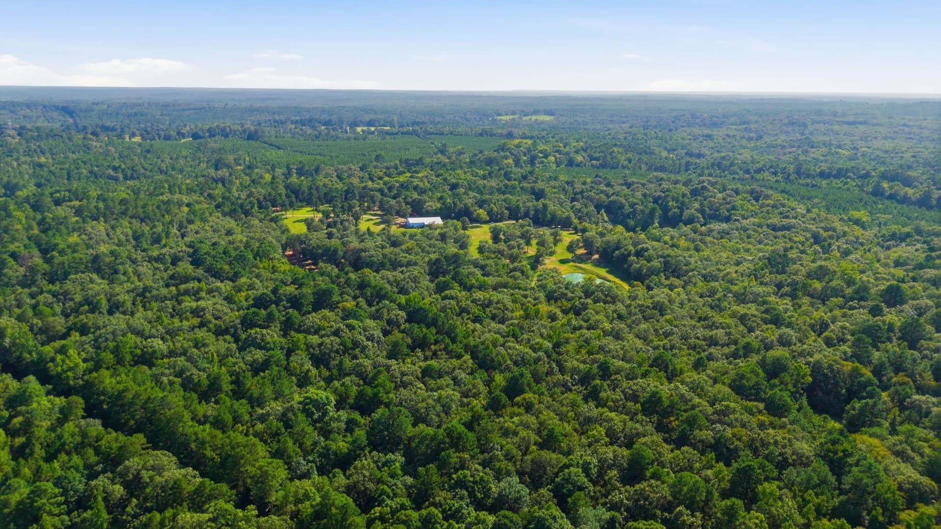 72.87 acres in Smith County - photo 37
