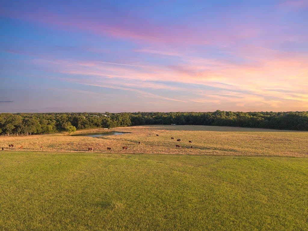 71.5 acres in Erath County - photo 39
