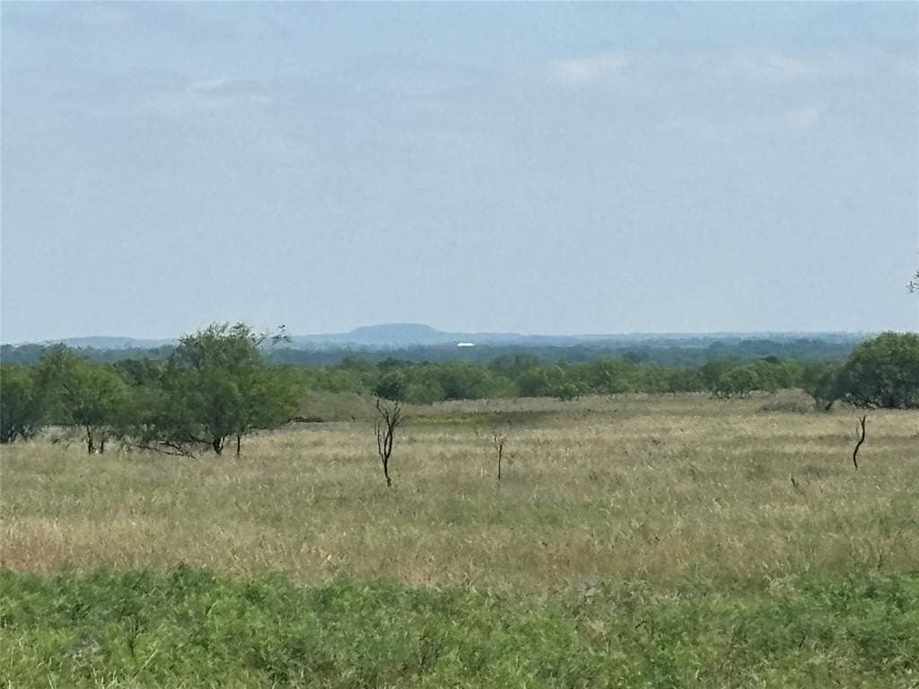 92.81 acres in Montague County gallery image 4