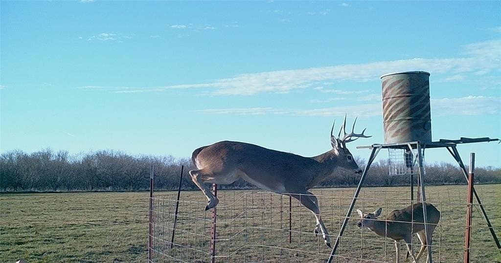 92.81 acres in Montague County gallery image 3