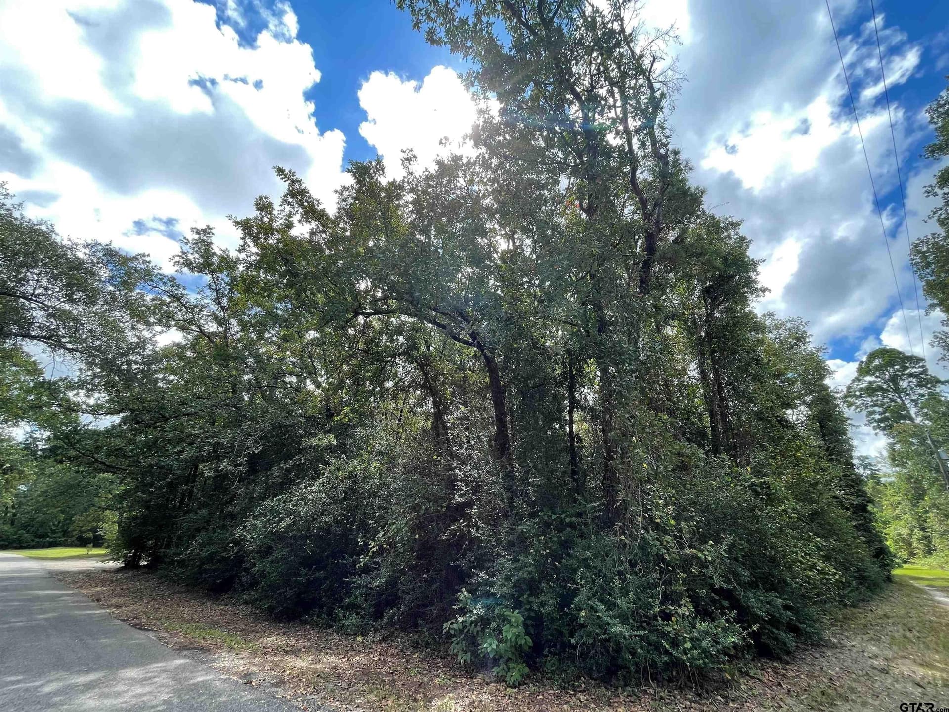 0.18 acres in Wood County gallery image 2