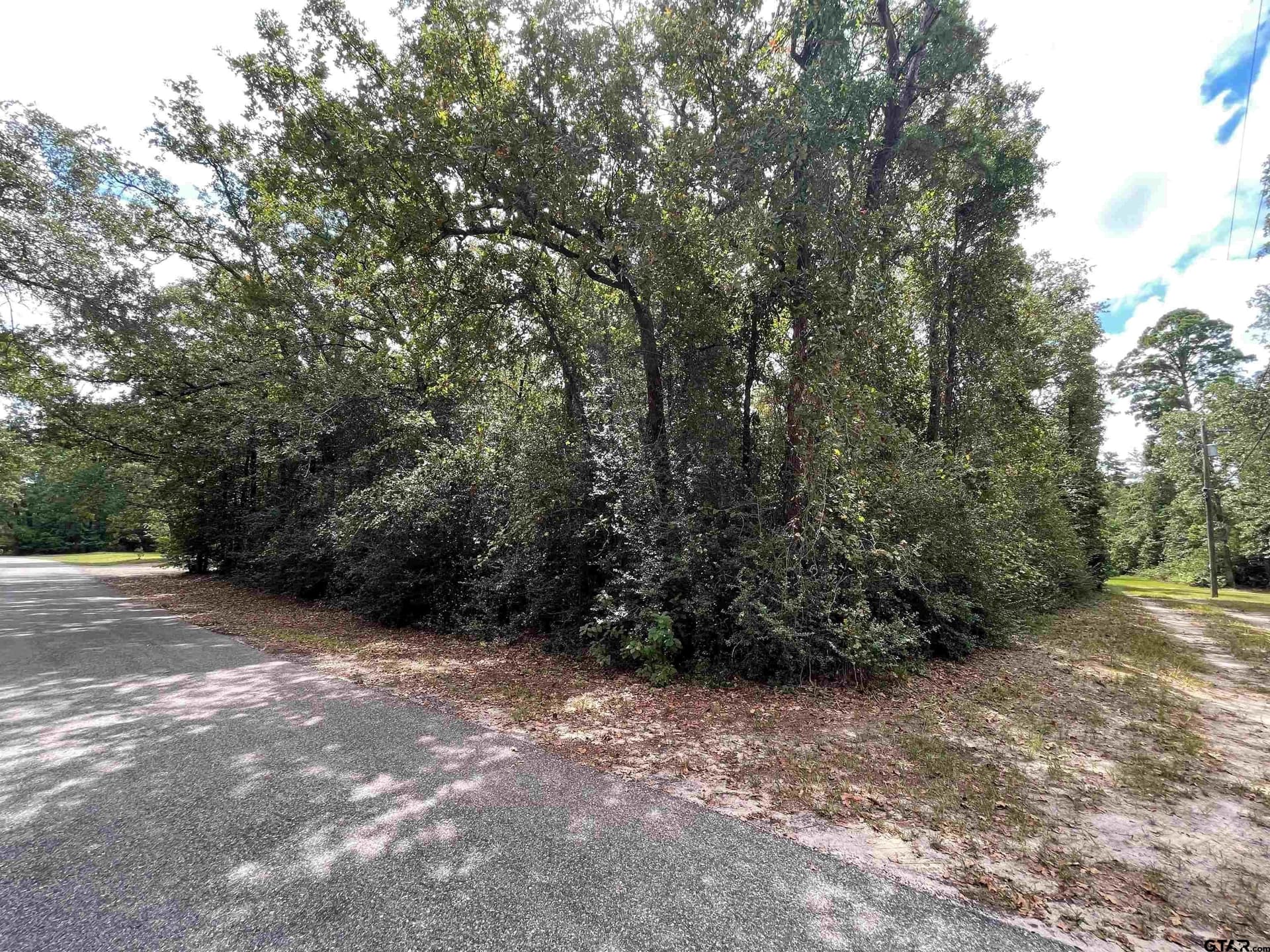 0.18 acres in Wood County gallery image 3