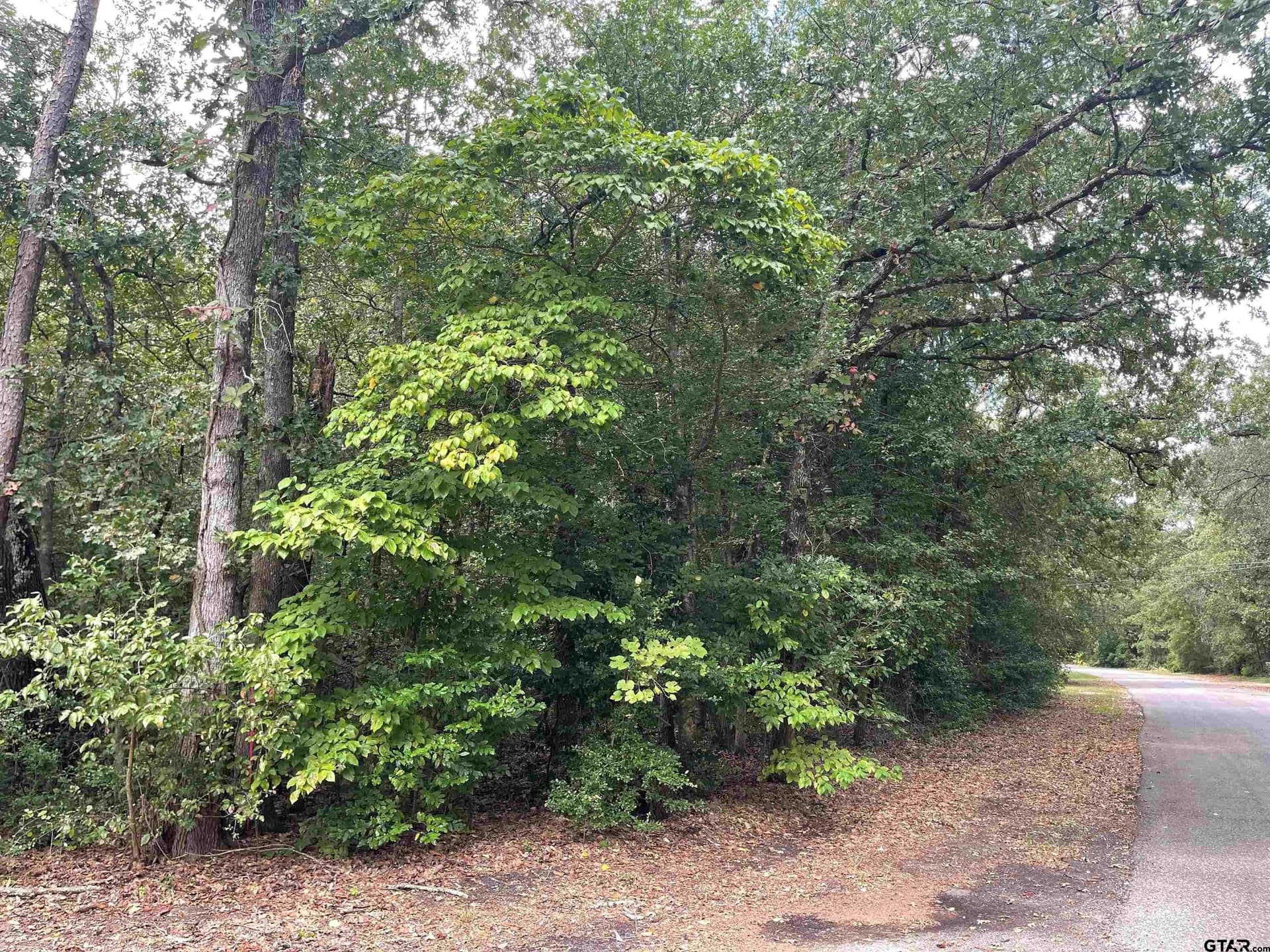 0.18 acres in Wood County featured view