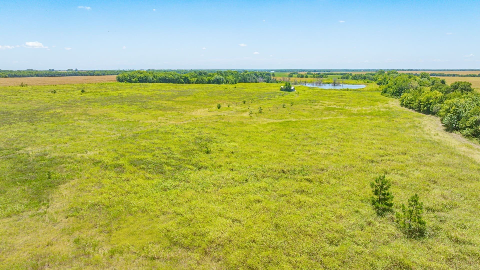 50.52 acres in Delta County - photo 37