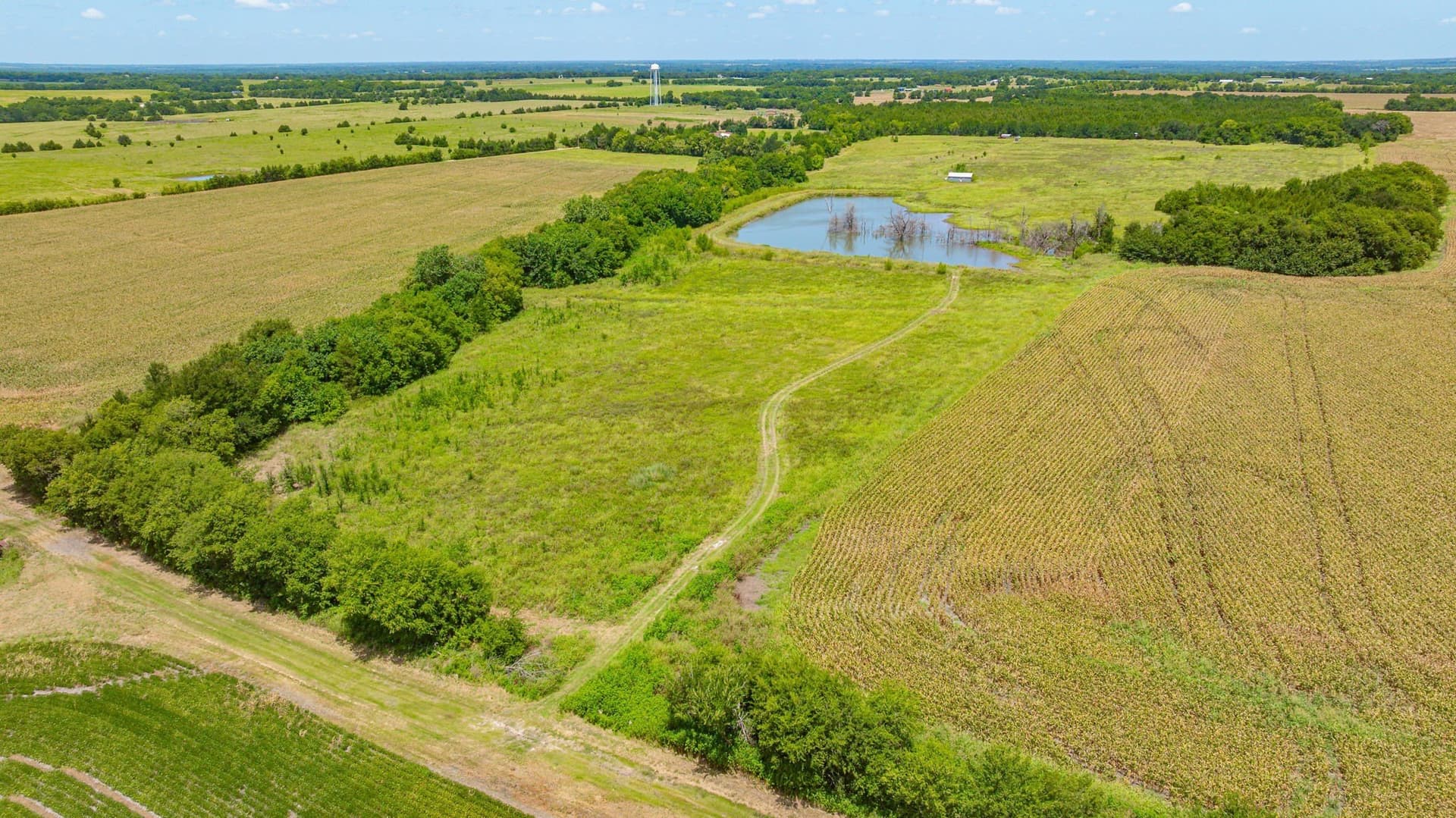 50.52 acres in Delta County - photo 3